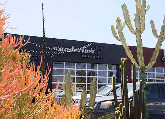 A cactus stands in front of a building at The Wilson, Santa Monica