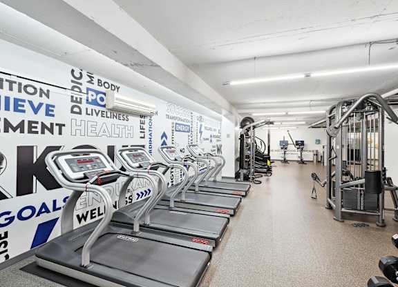 A gym with treadmills and weights is shown.
