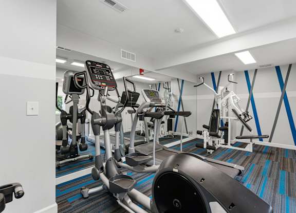 A gym with a row of treadmills and elliptical machines.