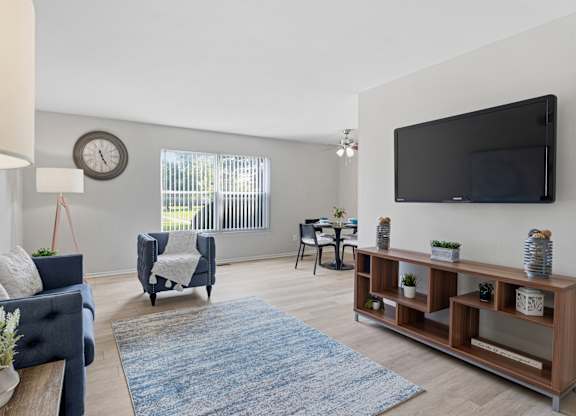 A living room with a blue couch, a grey armchair, a wooden shelf with plants, and a flat-screen TV mounted on the wall.