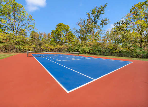 A tennis court with a blue border and red surface surrounded by trees.