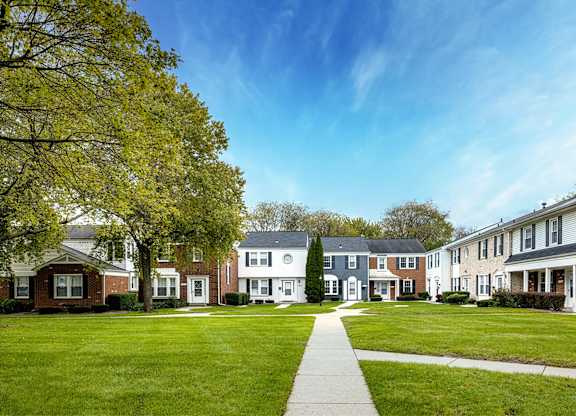 A row of houses with a tree in front of them.