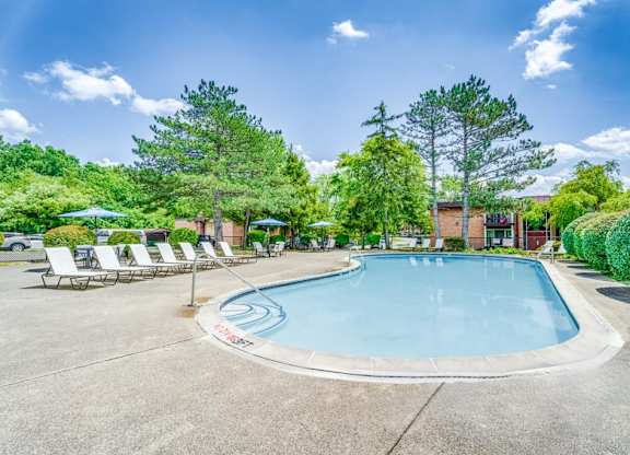 A large outdoor swimming pool surrounded by trees and lounge chairs.