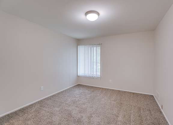 A room with a carpeted floor and a window with blinds.