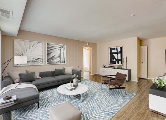 A living room with a grey sofa, a white coffee table, and a blue and white patterned rug.
