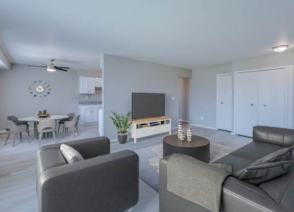 A living room with a grey couch, a coffee table, and a television.