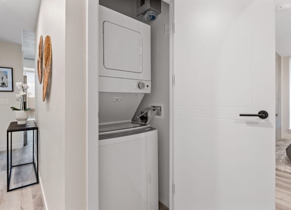 A modern bathroom with a white cabinet and a small plant on a table.