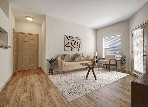 A living room with a couch, chair, and rug.