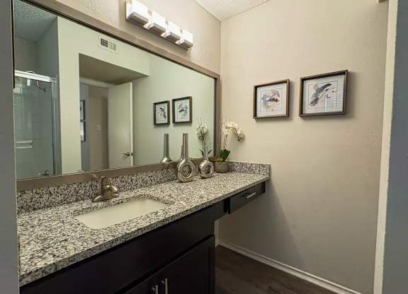 A bathroom with a granite countertop and a large mirror.