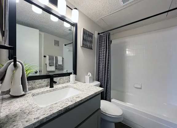 A bathroom with a sink, toilet, and mirror.