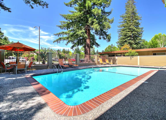 A pool surrounded by trees and a patio with chairs and an umbrella.