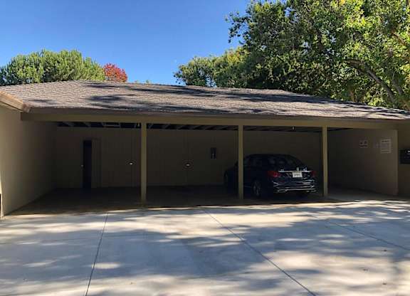A black car is parked in a garage with a tree in the background.
