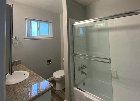 A bathroom with a walk-in shower and a toilet.