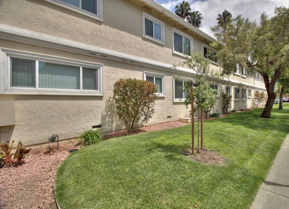 View of the apartment's exterior displaying landscaping and the sidewalk
