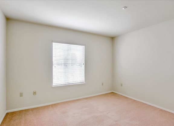 A room with a window and carpeted floor.