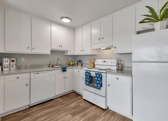 All electric kitchen appliance