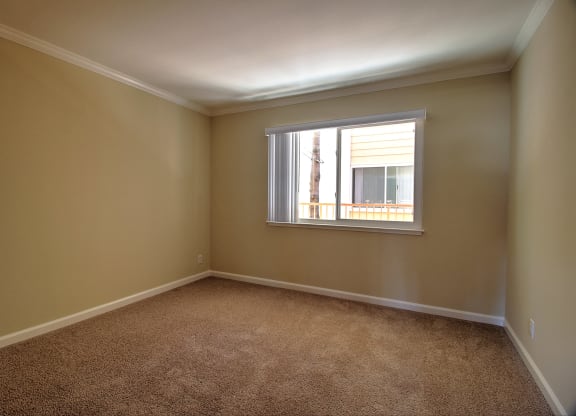 A room with a carpeted floor and a window.
