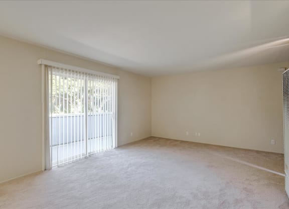 A spacious room with a window and a sliding door.