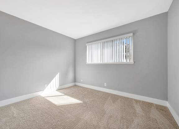 A room with a carpeted floor and a window with blinds.