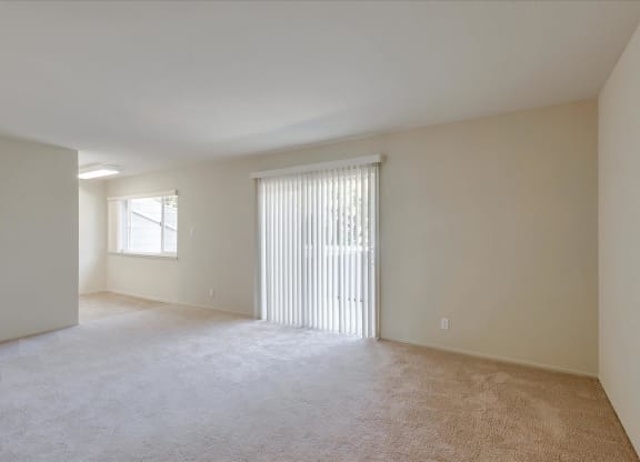 A large, empty room with a window and carpeted floor.