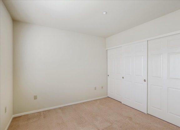 A room with white walls and a carpeted floor.
