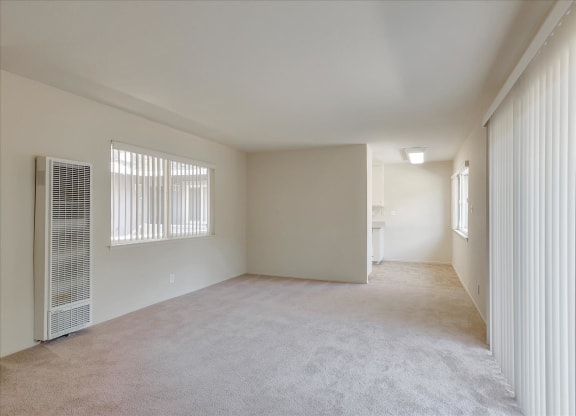 A spacious room with a window and a carpeted floor.