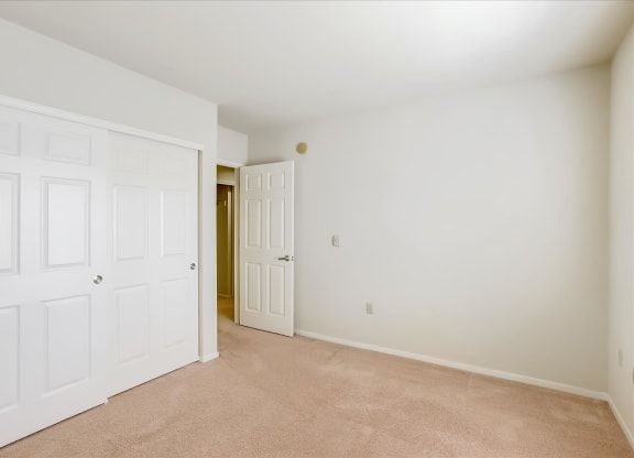 A room with a white door and carpeted floor.