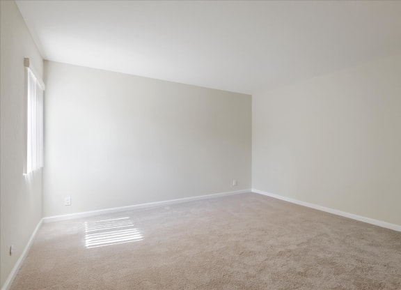 a empty room with carpet and a window