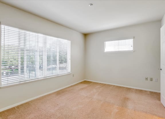 A room with a window and a carpeted floor.