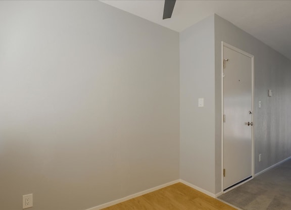 a room with white walls and a closet and a door