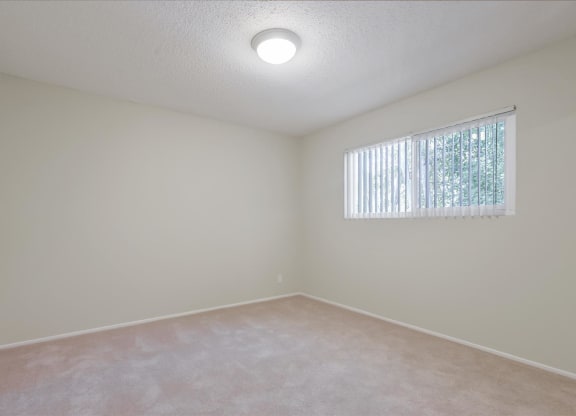 an empty living room with a window and carpet