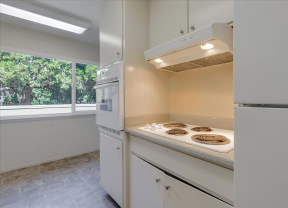 A kitchen with white appliances and a window with trees outside.