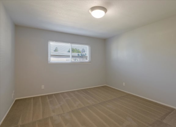 a bedroom with a window and a carpeted floor