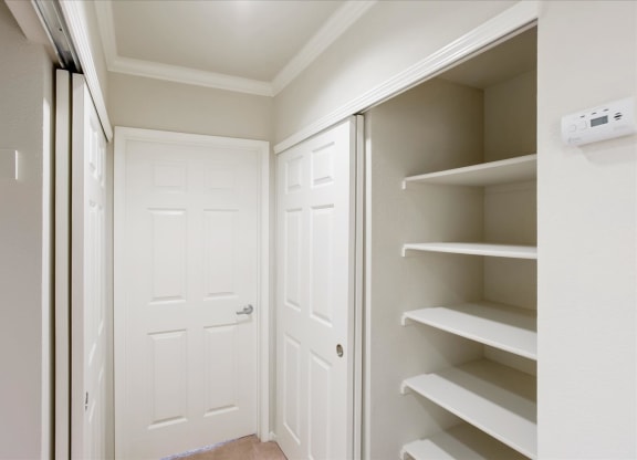 A white pantry with a door and shelves.