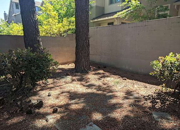 A backyard with a tree, a wall, and a few rocks.