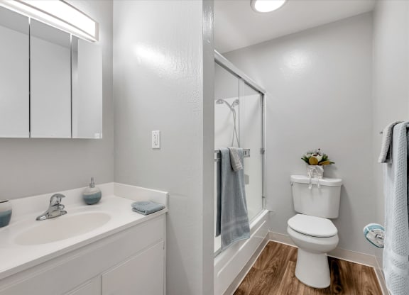 Sparkling bathroom with bathtub