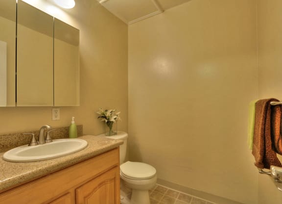 a bathroom with a sink toilet and a mirror
