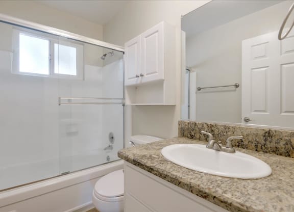 a bathroom with a sink and a shower and a toilet