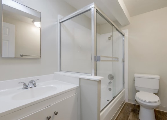 a bathroom with a sink toilet and a shower