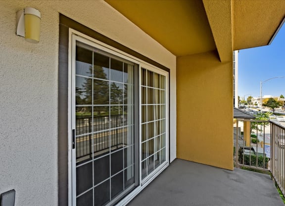 A sliding glass door with a view of a tree outside.