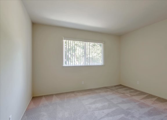 A room with a window and carpeted floor.