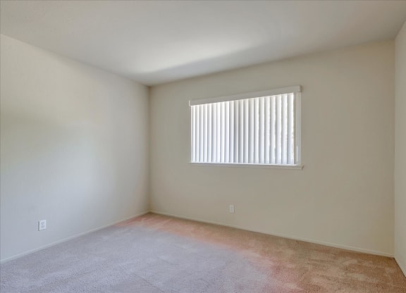 A room with a window and carpeted floor.