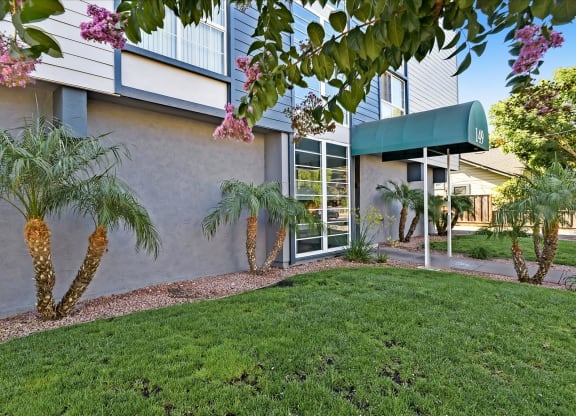 the front yard of a house with palm trees and grass