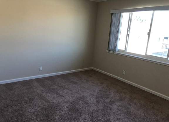 A room with a carpeted floor and a window.