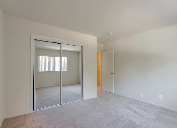 A room with a white wall and a carpeted floor.