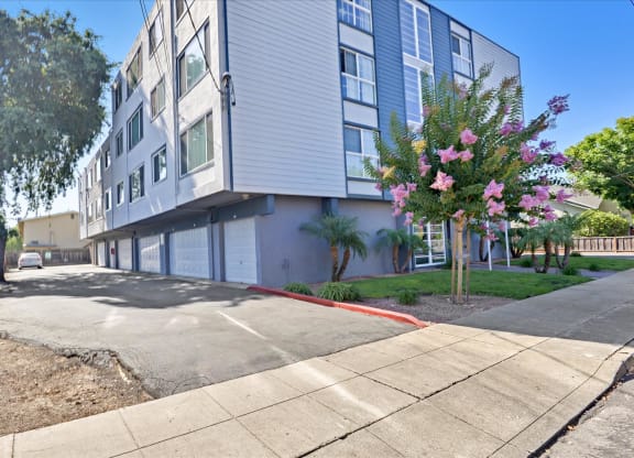 the building where the apartment is located