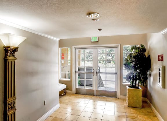 A hallway with a plant in a planter, a door with a glass panel and a fire extinguisher on the wall.