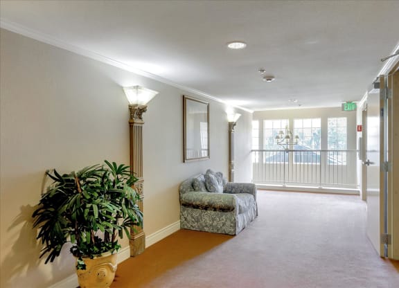 A well lit hallway with a couch and a potted plant.