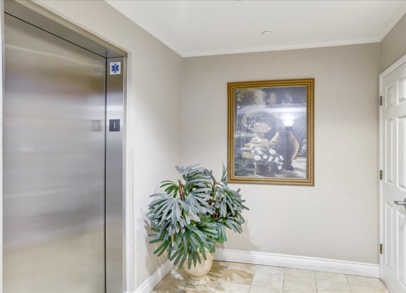 A potted plant sits in front of a framed picture in a hallway.