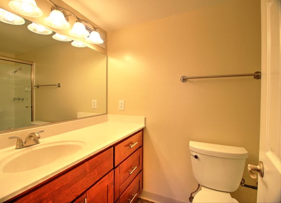 A bathroom with a white toilet, sink, and mirror.